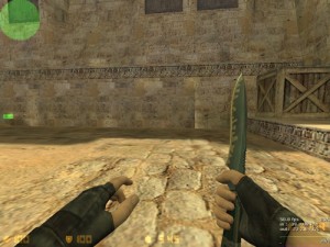 CounterStrike-Bicak